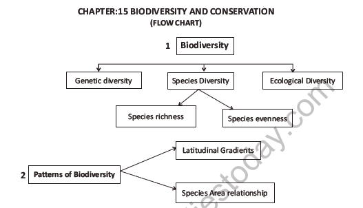 CBSE Class 12 Biology Biodiversity And Conservation Question Bank